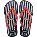 Chinelo Havaianas Logo Metálico (Cópia)